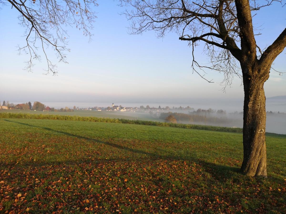 Landgasthof Zum Kirchenwirt Kellberg  Esterno foto